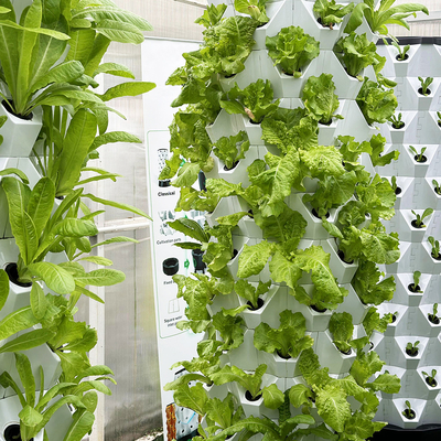 Zichtbare lijn groei lampen met 1-23 uur ((24 uur cyclus) Timer Hydroponic irrigatie systeem