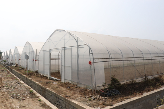 De Spanwijdte van Polytunnelsri lanka Colombo Steel Frame Greenhouse Single
