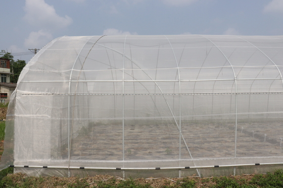 De Spanwijdte van Polytunnelsri lanka Colombo Steel Frame Greenhouse Single