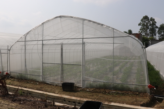 De Spanwijdte van Polytunnelsri lanka Colombo Steel Frame Greenhouse Single