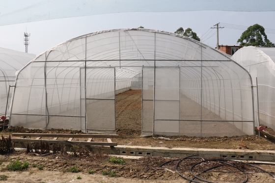 De Spanwijdte van Polytunnelsri lanka Colombo Steel Frame Greenhouse Single