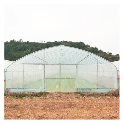 Stabiele de Filmserre van het Structuurpolyethyleen/Plantaardige Tomatenplantserre