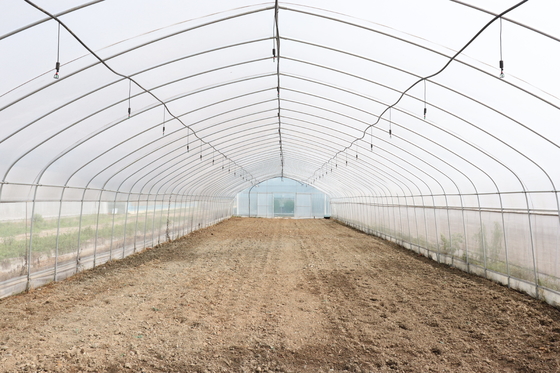 Stabiele de Filmserre van het Structuurpolyethyleen/Plantaardige Tomatenplantserre