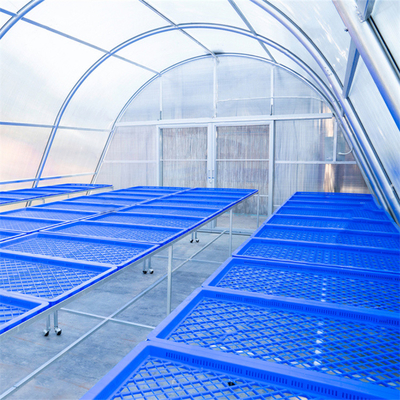 Stabiele structuur Groente- en kruidedrogingskas met geavanceerde ventilatietechnologie
