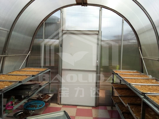 Geavanceerde ventilatie en PC-plank droogkasten voor groenten en kruidenbehoud