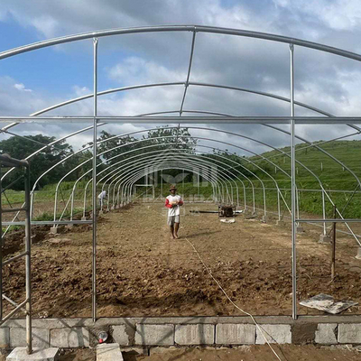 Tunnel Plastic Greenhouse Gegalvaniseerd Staal Frame Pe Film Greenhouse Single Span Greenhouse