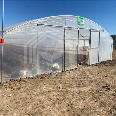 Tunnel Plastic Greenhouse Gegalvaniseerd Staal Frame Pe Film Greenhouse Single Span Greenhouse