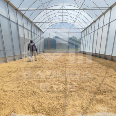 Groenhuis met hoge tunnel met duurzame staalstructuur voor landbouw