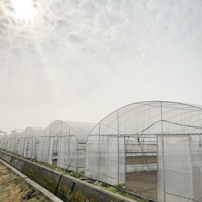 6x15m tunnel kas voor bloemen- en groentenbouwprojecten
