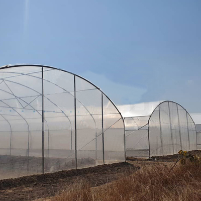 6x15m tunnel kas voor bloemen- en groentenbouwprojecten