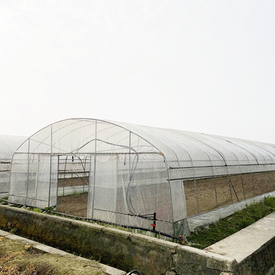 6x15m tunnel kas voor bloemen- en groentenbouwprojecten
