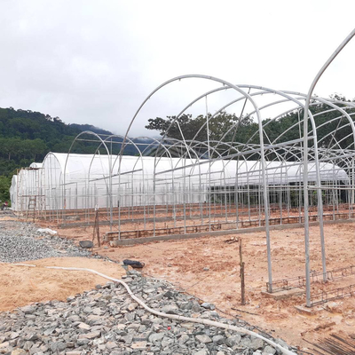 Praktische hoge tunnelkasten voor landbouwoplossingen