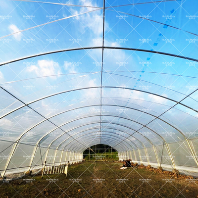 Kosteneffectieve tunnelkas met PE-bedekking voor groenten en bloemen