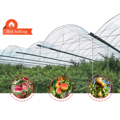 Professionele groenhouten tuin met film en schaduwnet