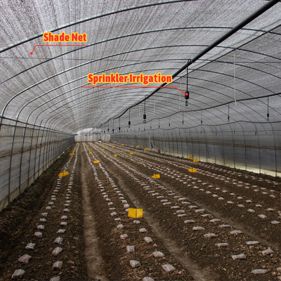 Professionele groenhouten tuin met film en schaduwnet