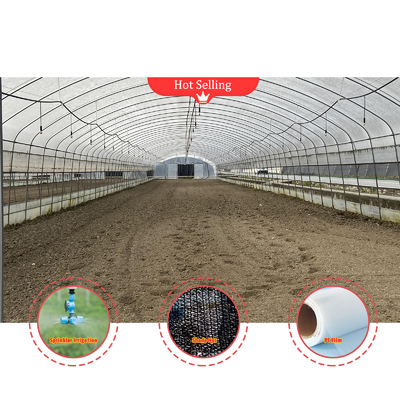 BAOLIDA Economische landbouw Zwarte schaduw Net Tunnel Film Kas Voor paddenstoelen