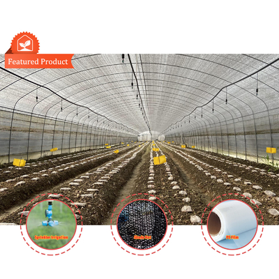 Tunnel Plastic Greenhouse Gegalvaniseerd Staal Frame Pe Film Greenhouse Single Span Greenhouse