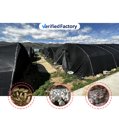 Zijdehoogte 1,2-1,8 m en boogruimte 1-1,5 m Champignon Poly Tunnel Kas UV beschermd
