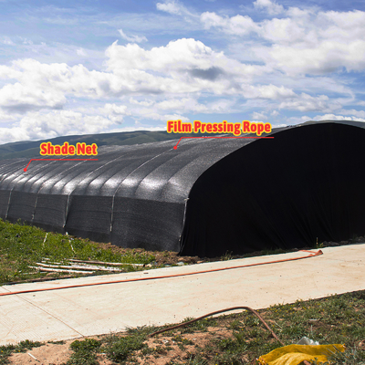 Zijdehoogte 1,2-1,8 m en boogruimte 1-1,5 m Champignon Poly Tunnel Kas UV beschermd