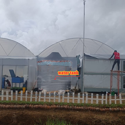 Bloemen en groenten verbouwen Groentehuis Quonset Hut Conservatorium Groentehuis Gaten verbonden Grote kassen met dakventilatie