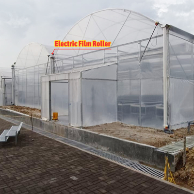 Bloemen en groenten verbouwen Groentehuis Quonset Hut Conservatorium Groentehuis Gaten verbonden Grote kassen met dakventilatie