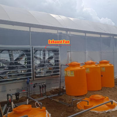 Bloemen en groenten verbouwen Groentehuis Quonset Hut Conservatorium Groentehuis Gaten verbonden Grote kassen met dakventilatie