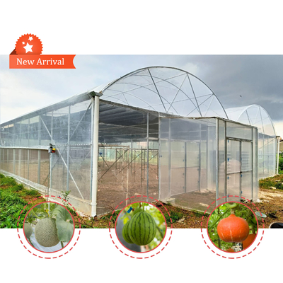 Bloemen en groenten verbouwen Groentehuis Quonset Hut Conservatorium Groentehuis Gaten verbonden Grote kassen met dakventilatie