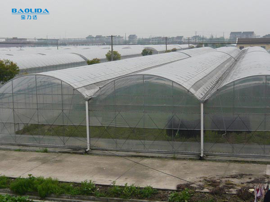Flower Multi-tunnel Po Film Multi-span kas met moderne automatische besturing apparatuur