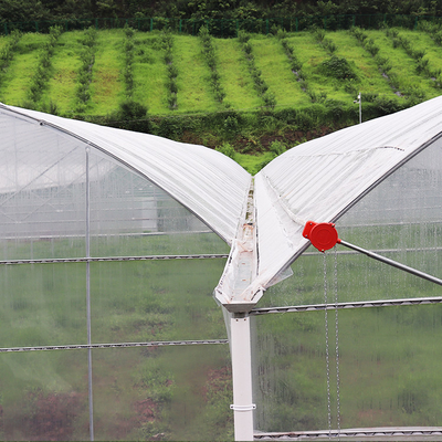 Flower Multi-tunnel Po Film Multi-span kas met moderne automatische besturing apparatuur