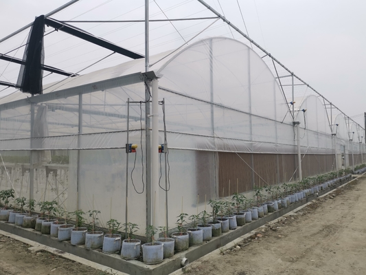 Flower Multi-tunnel Po Film Multi-span kas met moderne automatische besturing apparatuur