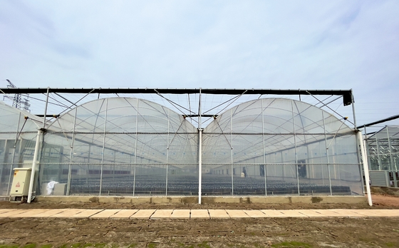 Flower Multi-tunnel Po Film Multi-span kas met moderne automatische besturing apparatuur