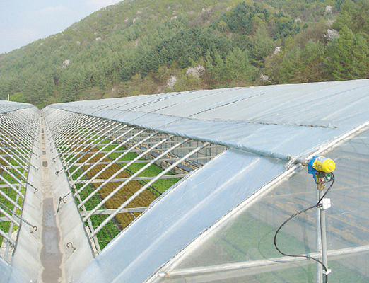 Flower Multi-tunnel Po Film Multi-span kas met moderne automatische besturing apparatuur