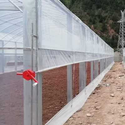 Flower Multi-tunnel Po Film Multi-span kas met moderne automatische besturing apparatuur
