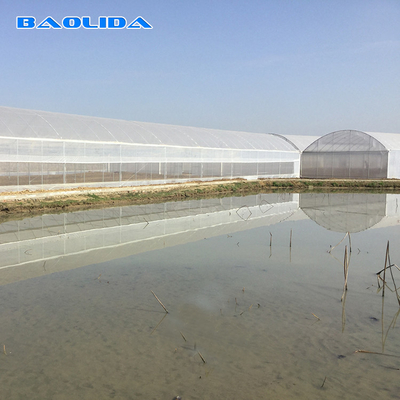 8-60m lange hoge tunnel Plastic film kas Aanpasbare grootte Voor landbouw en bloemenproductie