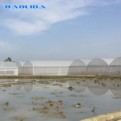 8-60m lange hoge tunnel Plastic film kas Aanpasbare grootte Voor landbouw en bloemenproductie