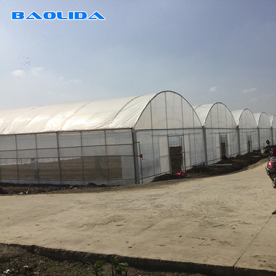 8-60m lange hoge tunnel Plastic film kas Aanpasbare grootte Voor landbouw en bloemenproductie