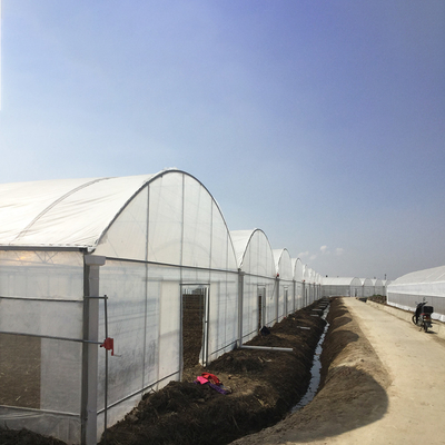 8-60m lange hoge tunnel Plastic film kas Aanpasbare grootte Voor landbouw en bloemenproductie