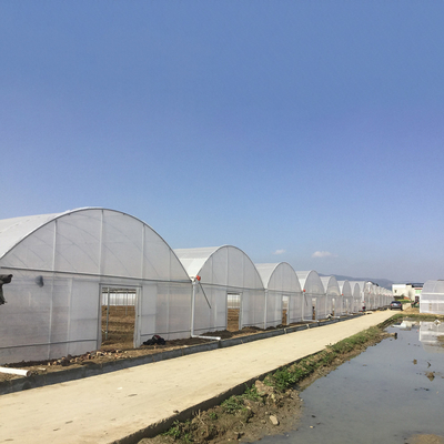 8-60m lange hoge tunnel Plastic film kas Aanpasbare grootte Voor landbouw en bloemenproductie