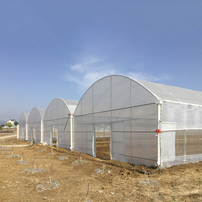 8-60m lange hoge tunnel Plastic film kas Aanpasbare grootte Voor landbouw en bloemenproductie