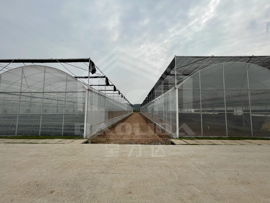 Baolida High Tunnel Plastic Film Multi Span Tropisch Groenhuis Zijdelingse ventilatie Landbouw Groenhuis met schaduwstelsel