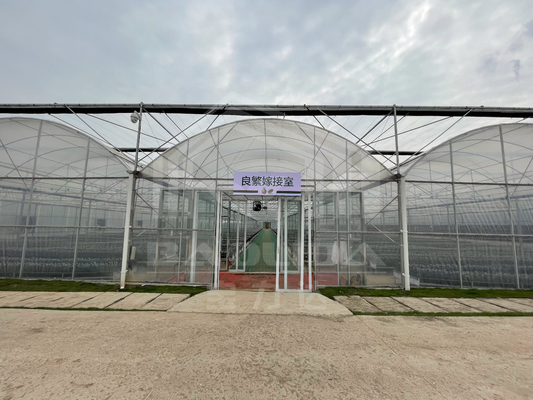 Baolida High Tunnel Plastic Film Multi Span Tropisch Groenhuis Zijdelingse ventilatie Landbouw Groenhuis met schaduwstelsel
