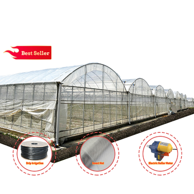 Baolida Custom Automatic System Groentehuis Tropisch Hydroponisch Systeem Meervoudig Zaadhuis Groentehuis