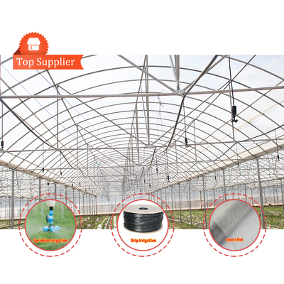 Baolida Custom Automatic System Groentehuis Tropisch Hydroponisch Systeem Meervoudig Zaadhuis Groentehuis