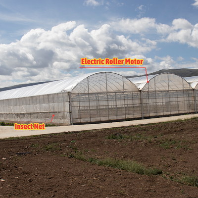Hoog intensiteits meervoudige boog Plastic film kas Warmdipp gegalvaniseerd staalpijp Landbouw kas