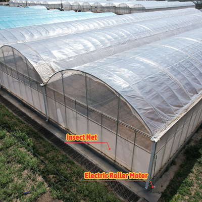 Baolida Custom Automatic System Groentehuis Tropisch Hydroponisch Systeem Meervoudig Zaadhuis Groentehuis