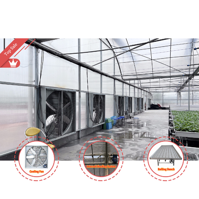 Thermostaat Waterdichte planten Groeiend hydroponicsysteem Tunnel Grote kassen voor bloemen