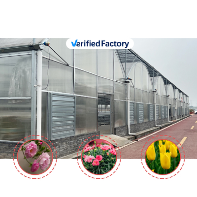 Thermostaat Waterdichte planten Groeiend hydroponicsysteem Tunnel Grote kassen voor bloemen