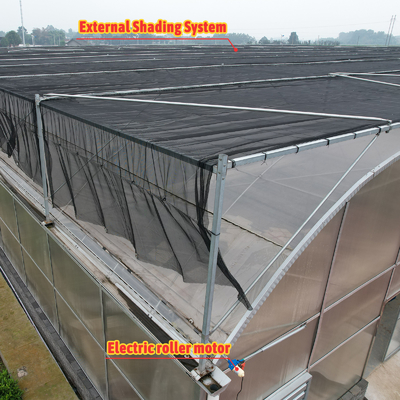 Thermostaat Waterdichte planten Groeiend hydroponicsysteem Tunnel Grote kassen voor bloemen