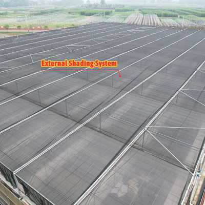Thermostaat Waterdichte planten Groeiend hydroponicsysteem Tunnel Grote kassen voor bloemen
