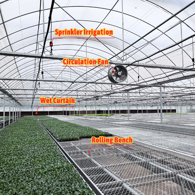 Thermostaat Waterdichte planten Groeiend hydroponicsysteem Tunnel Grote kassen voor bloemen